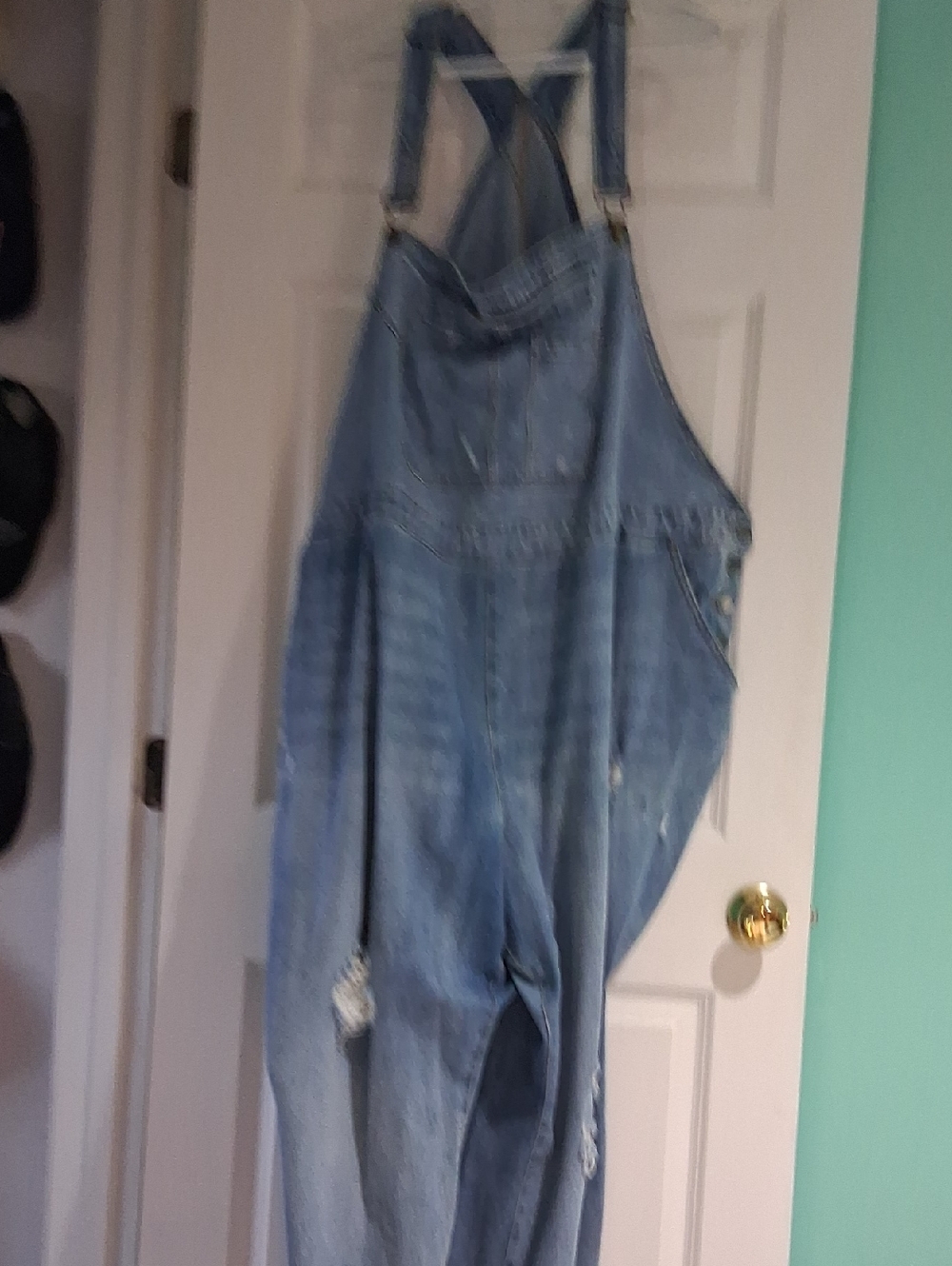 Lane Bryant Light Blue Distressed Denim Overalls